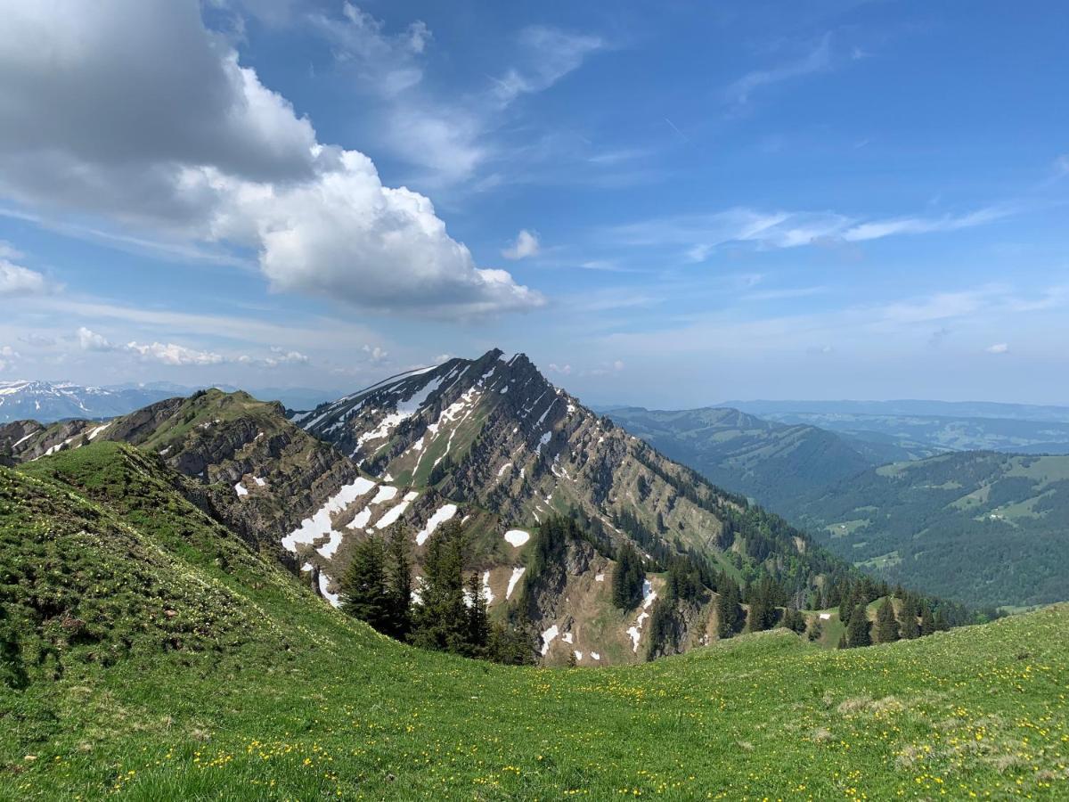 Staufen Herz Oberstaufen Εξωτερικό φωτογραφία